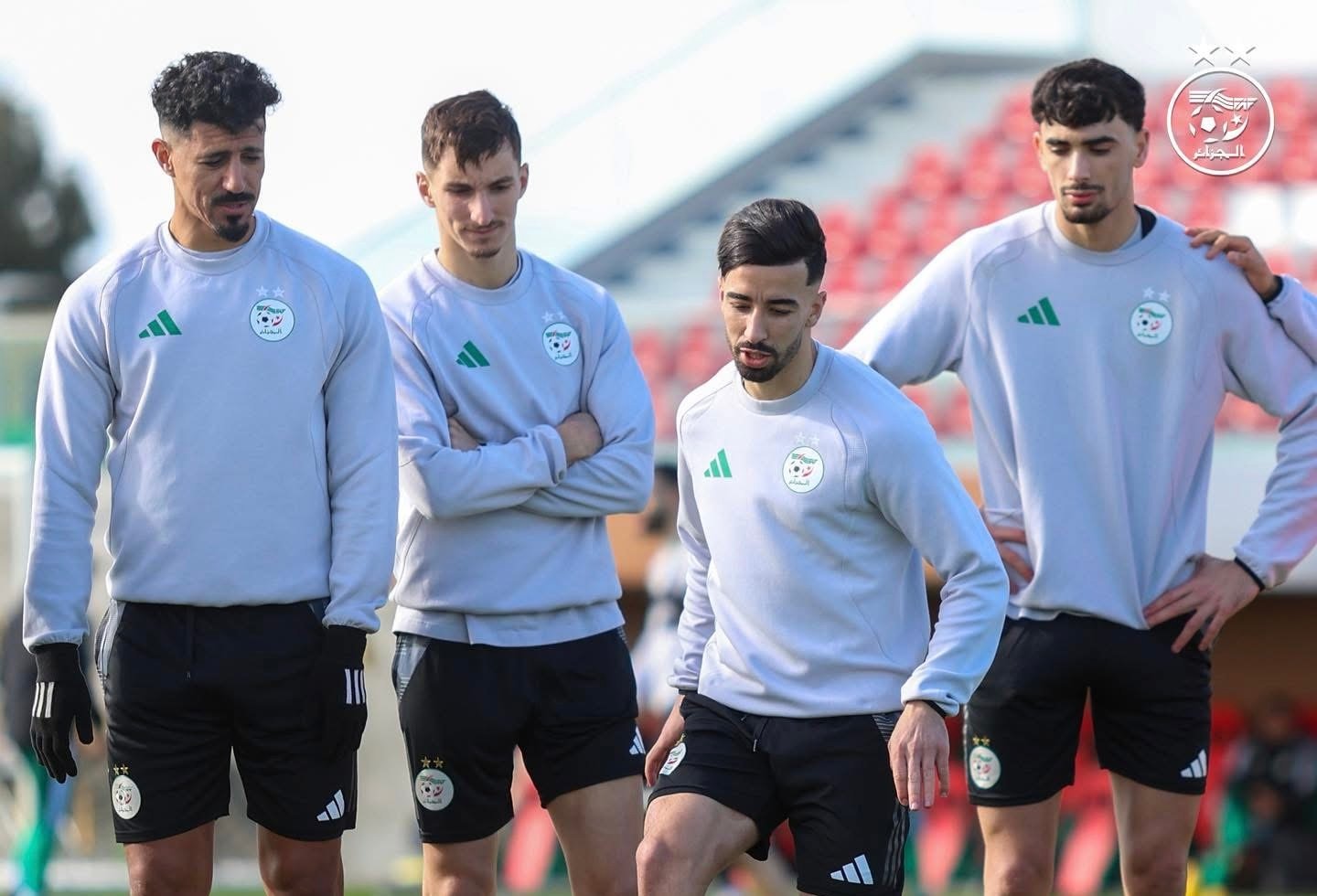 Bounedjah - Boulbina