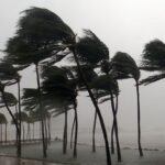 BMS météo Algérie