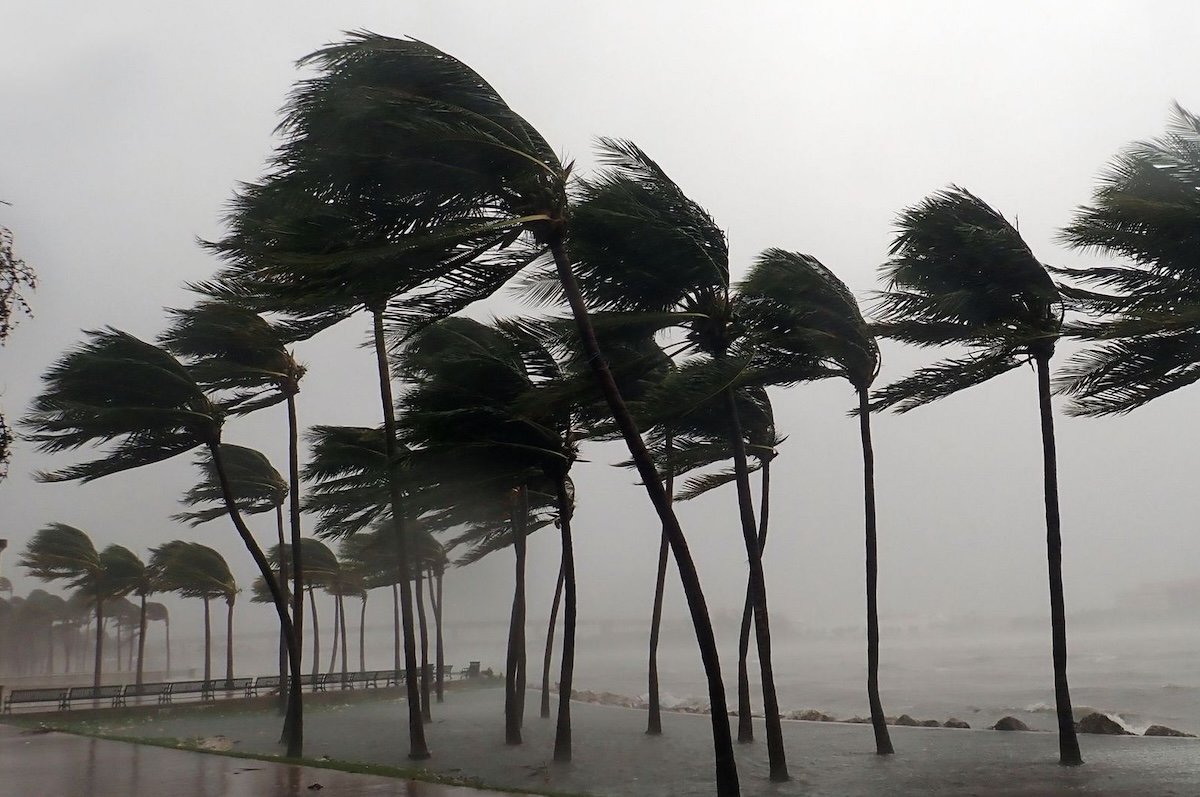 BMS météo Algérie