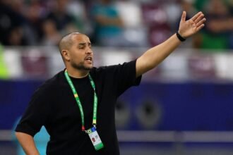 Madjid Bougherra sélectionneur du Liban