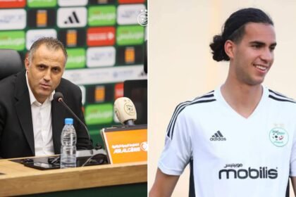 Hemdani Ramiz Zerrouki