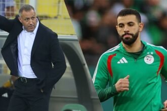 Vive tension entre Aït-Nouri et Hemdani : voici ce qui s’est passé